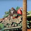 Remember Rainforest Cafe? Here’s What Happened to All Those Locations