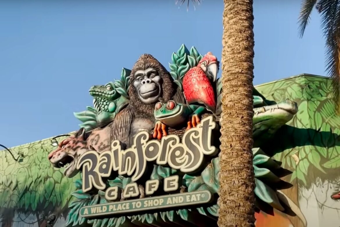 Remember Rainforest Cafe? Here’s What’s Left of This Icon